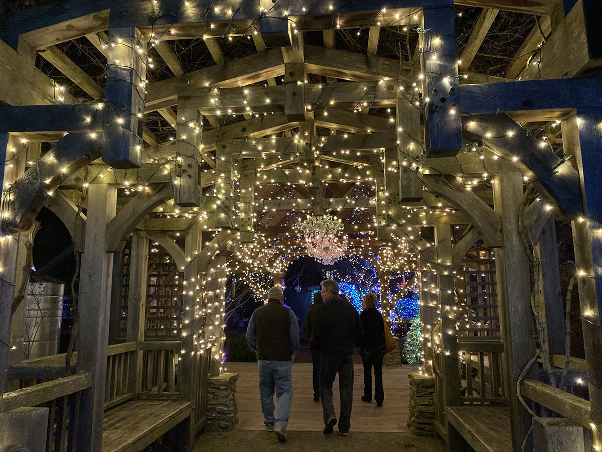 Winter Lights walkway